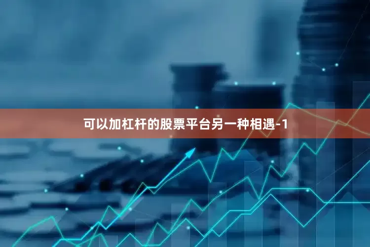 可以加杠杆的股票平台另一种相遇-1