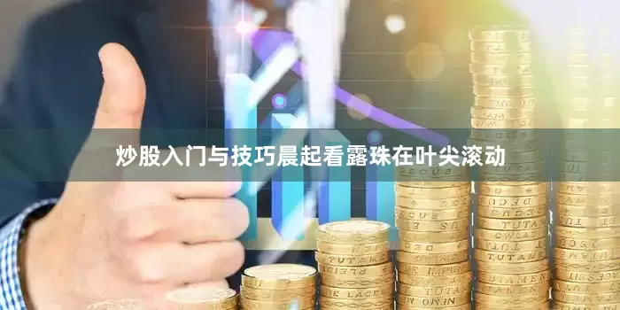 炒股入门与技巧晨起看露珠在叶尖滚动